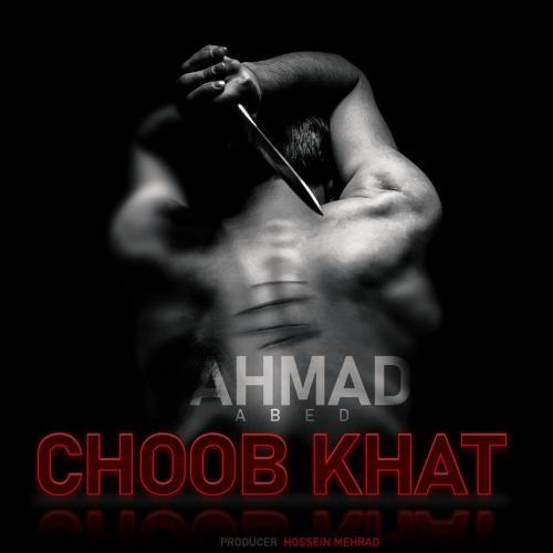 احمد عابد چوب خط